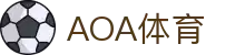 AOA体育(CN)官方网站-AOASPORTS"